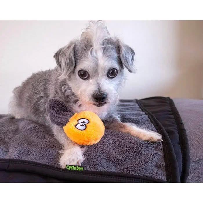 Cycle Dog Duraplush Flower Puppy Pack - Talis Us