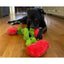 Cycle Dog Duraplush Vine of Tomatoes Dog Toys - Talis Us