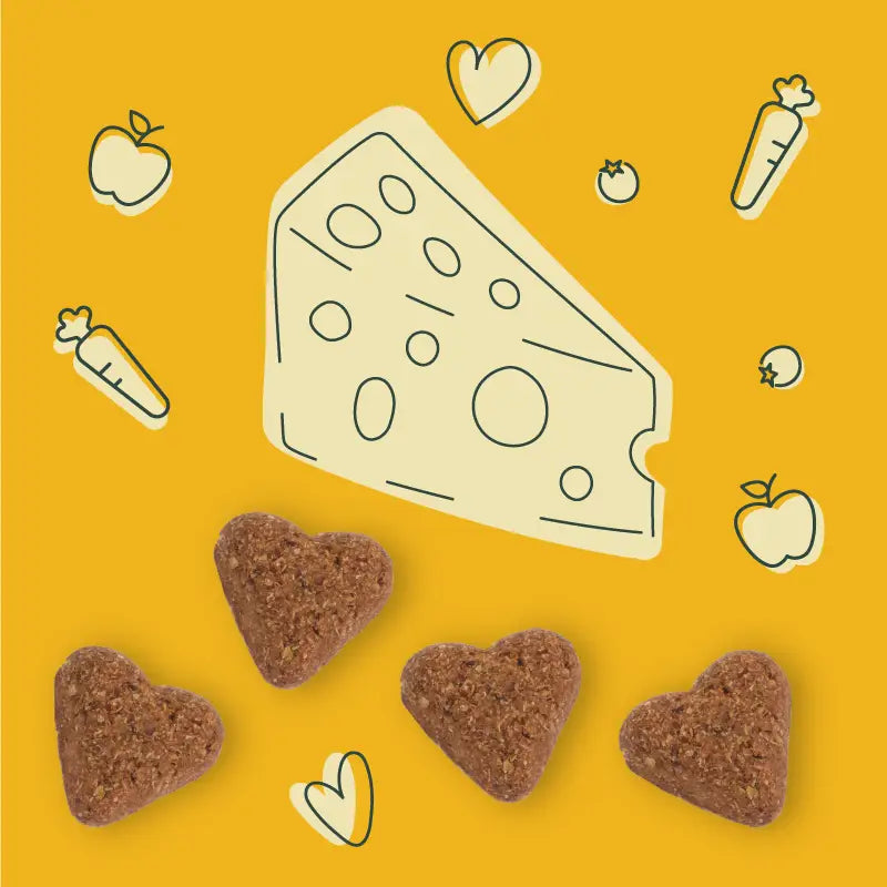 Darford soft baked cheesy dog treats in heart shapes with fun vegetable illustrations
