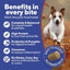 Dave's Digesti - Bites Chicken, Rice & Pumpkin Freeze - Dried Dog Treats - Talis Us