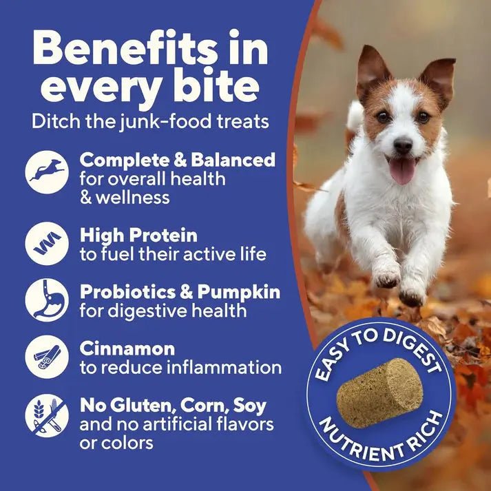 Dave's Digesti - Bites Chicken, Rice & Pumpkin Freeze - Dried Dog Treats - Talis Us