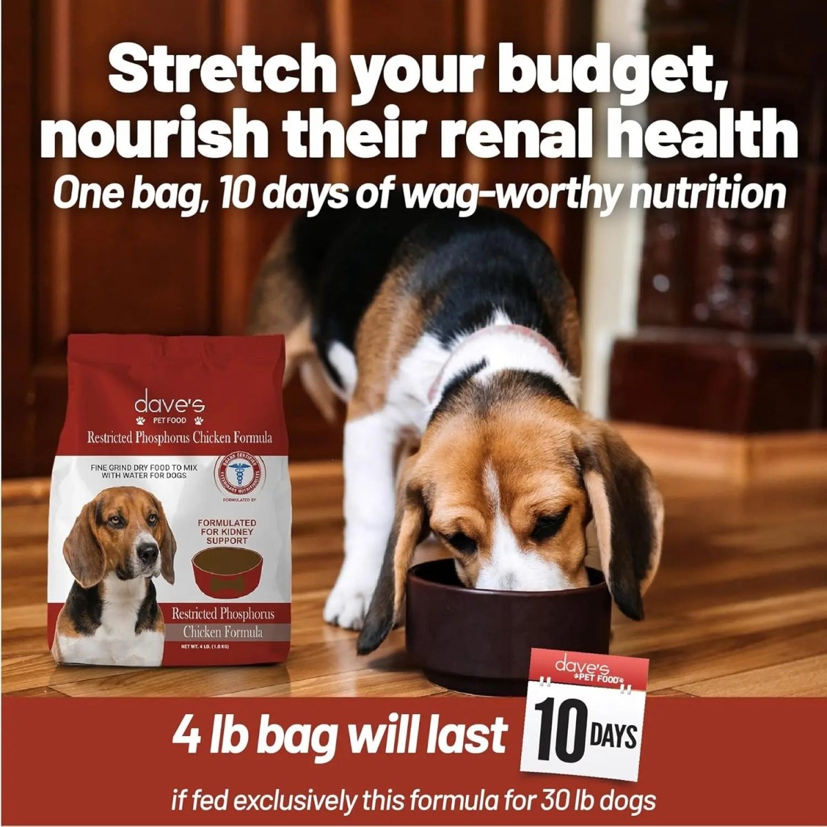 Dave's Pet Food Restricted Phosphorus Chicken Formula Kidney Support Dog Food 4LB - Talis Us