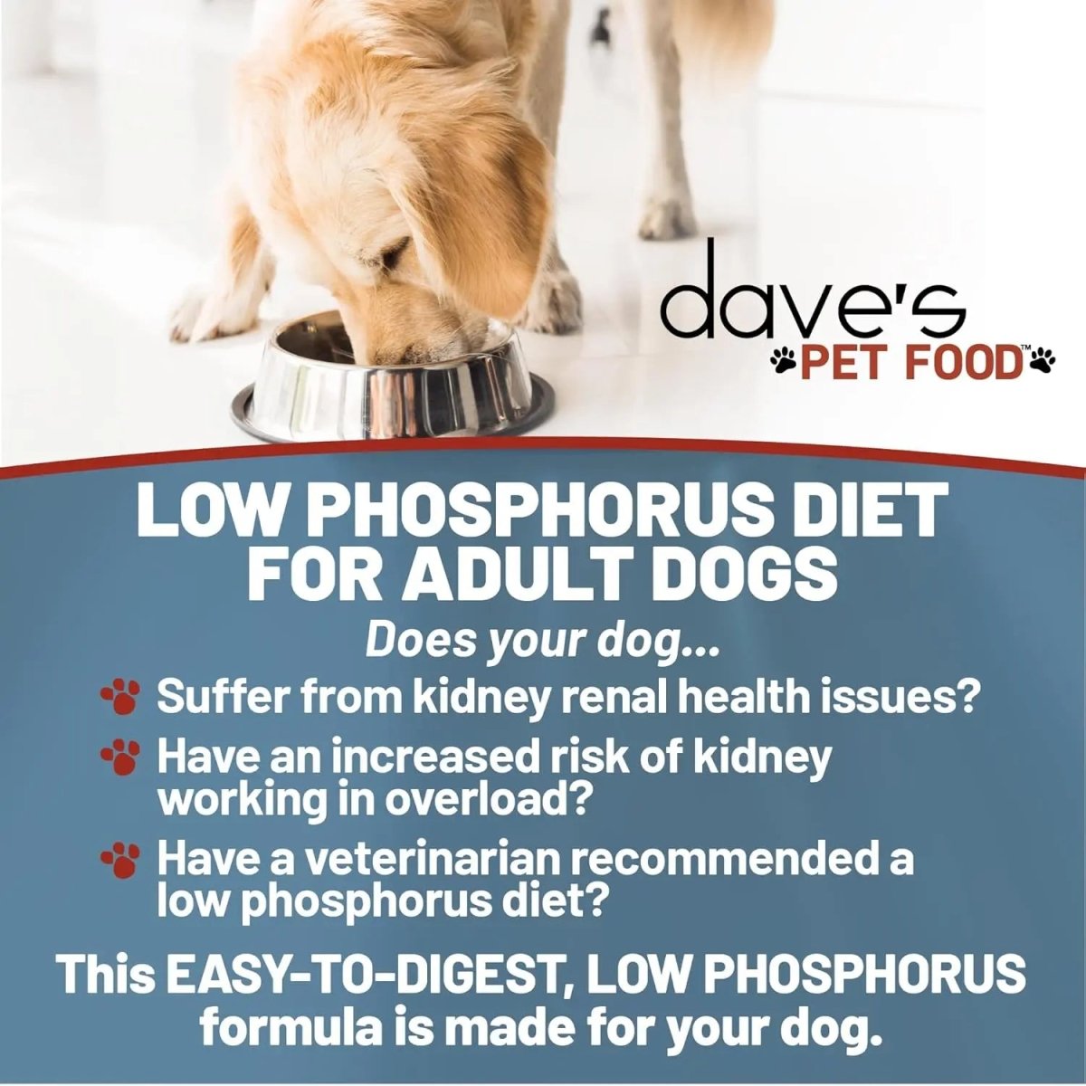 Dave's Pet Food Restricted Phosphorus Chicken Formula Kidney Support Dog Food 4LB - Talis Us
