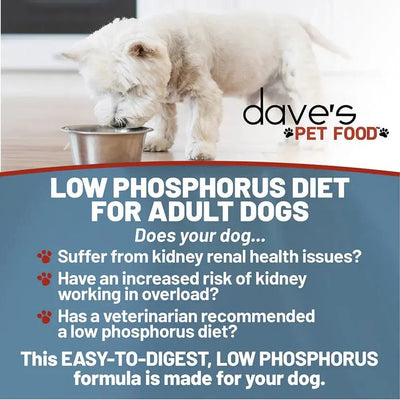 Dave's Pet Food Veterinarian Formulated Restricted Phosphorus & Protein Kidney Support, Tuna Pate in Gravy Wet Dog Food - Talis Us