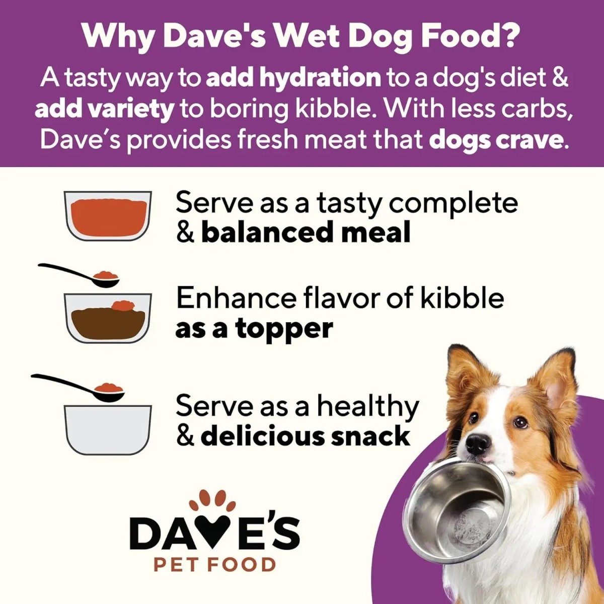 Dave's Pet Food Weight Management Turkey & Vegetables Recipe Pate Wet Dog Food 12ea/13 oz - Talis Us