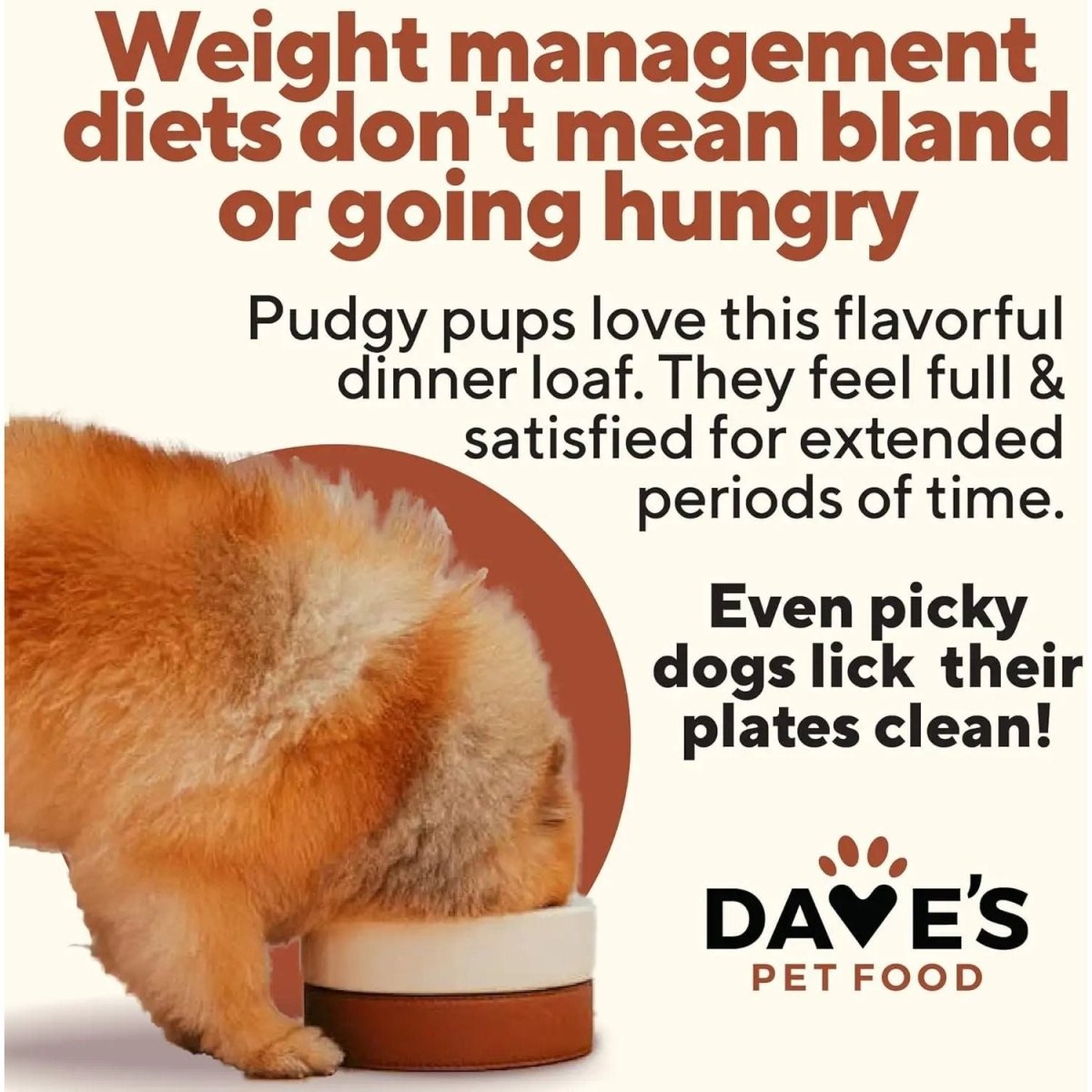 Dave's Pet Food Weight Management Turkey & Vegetables Recipe Pate Wet Dog Food 12ea/13 oz - Talis Us