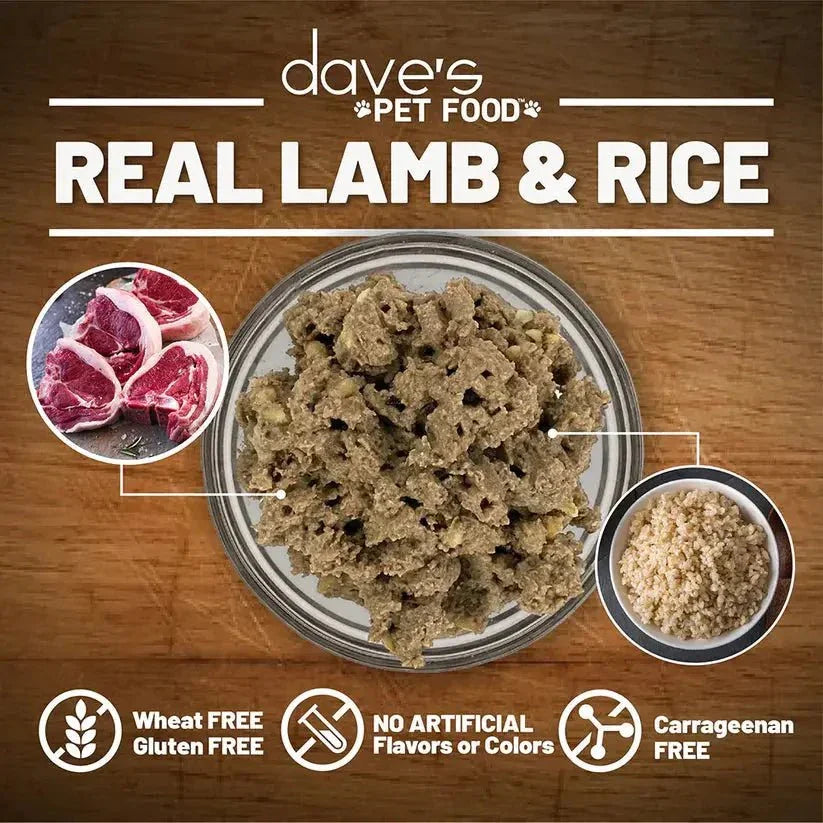 Dave's Restricted Diet Bland Lamb & Rice Dinner Canned Dog Food 12ea/13 oz - Talis Us