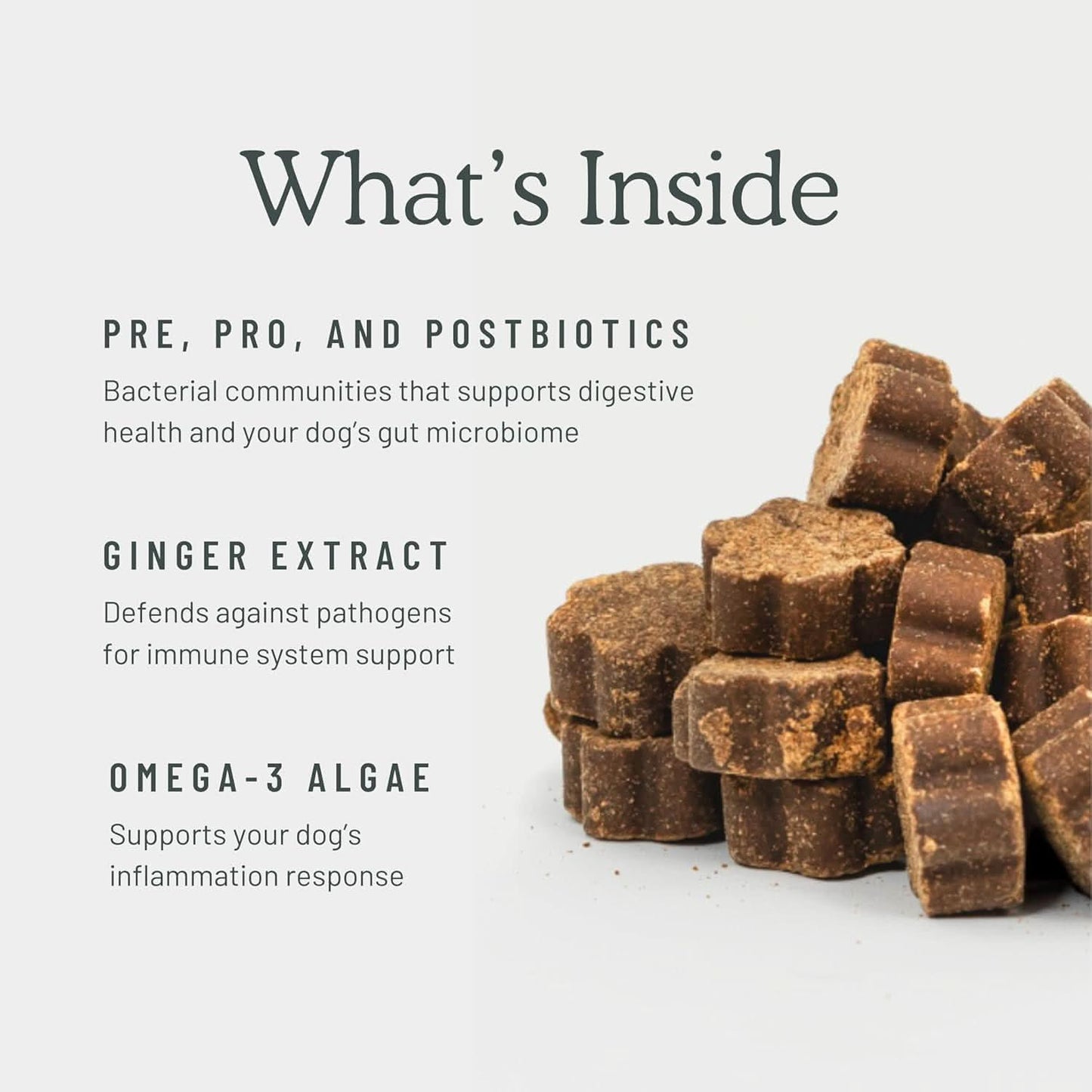 Get Joy dog digestive health supplement chews with pre, pro, and postbiotics for gut support