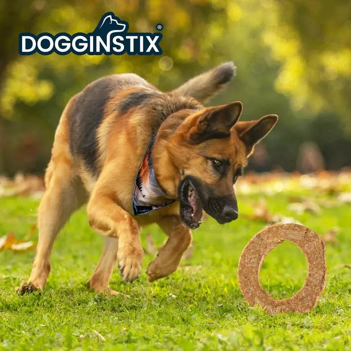 Dogginstix Lamb Collagen Cosmic Donut (case 20) - Talis Us