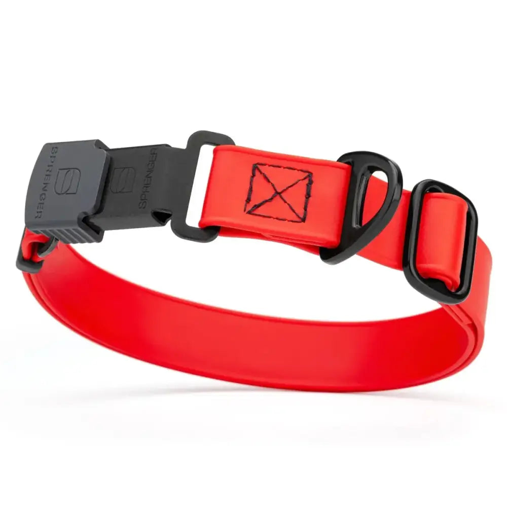 Dogline Biothane Waterproof Dog Collar with Herm Sprenger Stainless Steel Quick Release Buckle - Talis Us