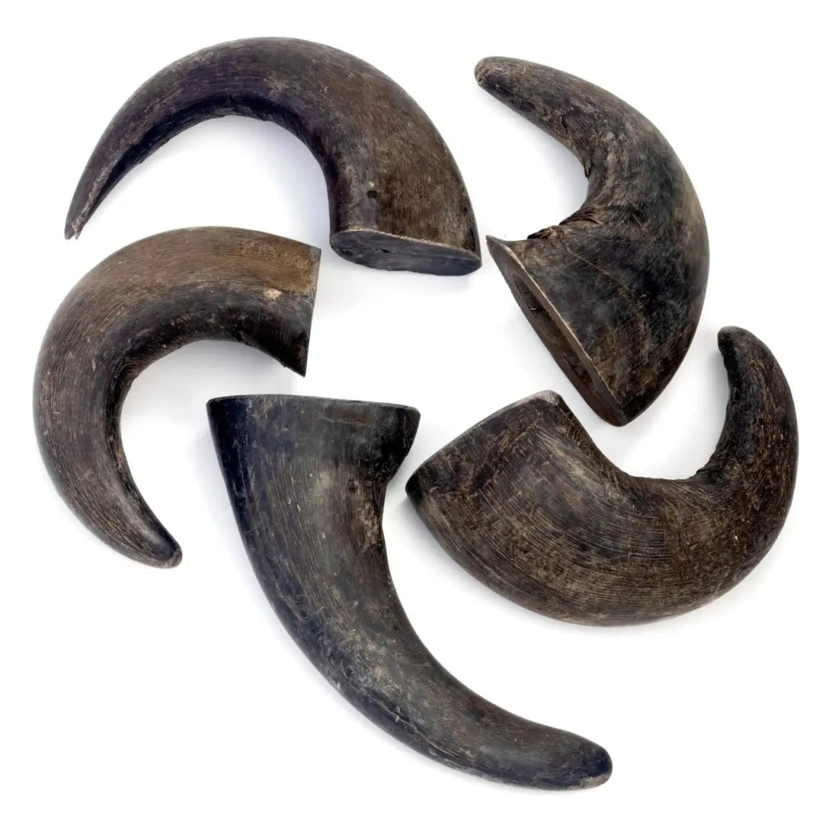 Durkha Natural Water Buffalo Horns for Dogs – Long - Lasting, Natural Dog Treats - Talis Us