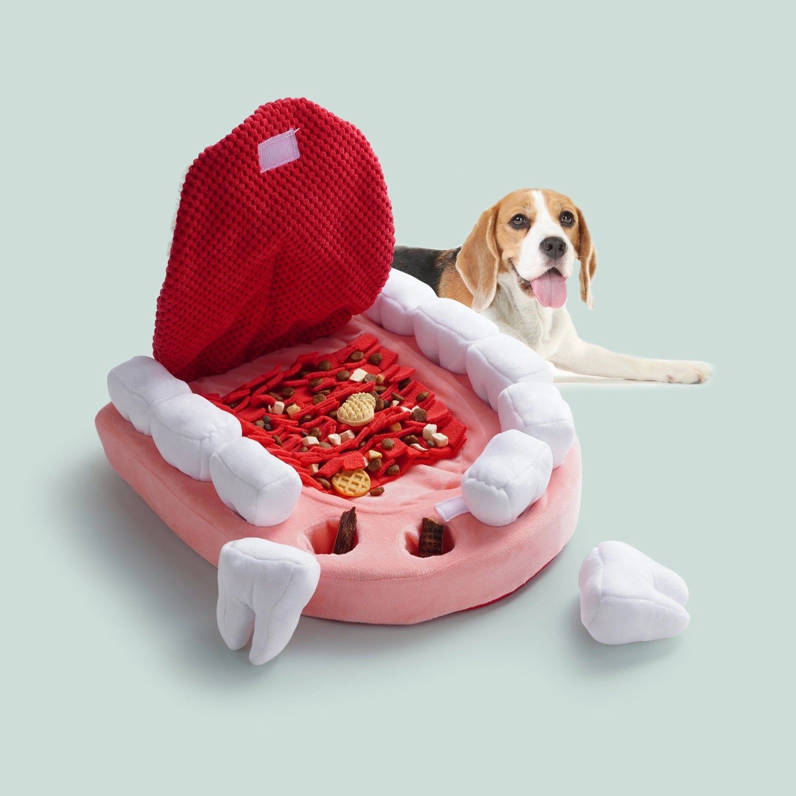 A beagle lounges behind the Nocciola Teeth Extraction Dog Toy—an open-mouth plush by Nocciola with red gums, white teeth, and hidden treats. A detachable plush tooth on the floor makes it perfect for hide-and-seek mental stimulation.