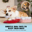 A corgi chews on a Nocciola Teeth Extraction Dog Toy—Keep Your Pup Engaged & Happy—with a red snuffle mat nearby. Inset shows a puppy’s sad face. Text: “Nocciola dog toys relieve anxiety and mentally stimulate your pup.”.