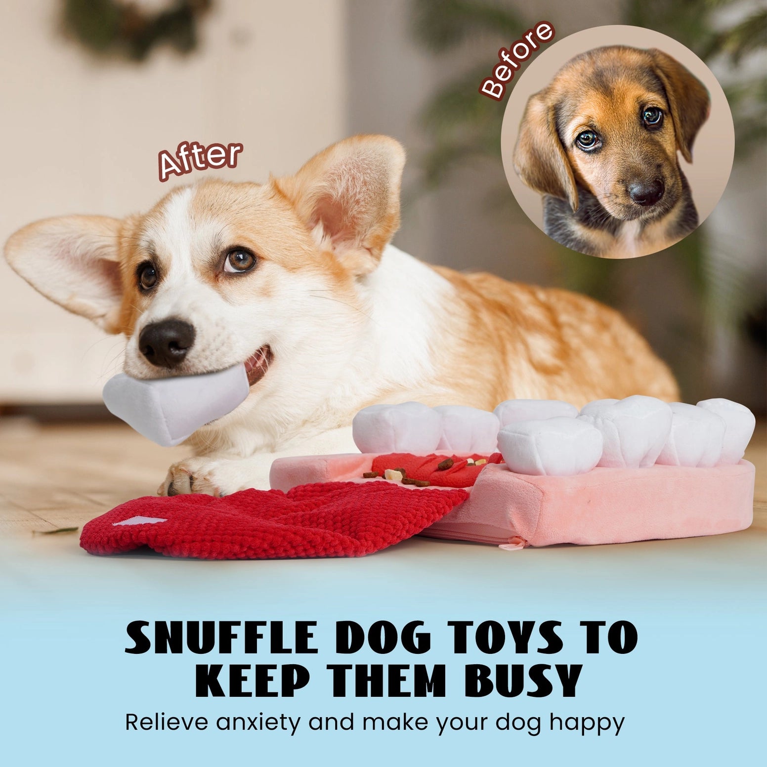 A corgi chews on a Nocciola Teeth Extraction Dog Toy—Keep Your Pup Engaged & Happy—with a red snuffle mat nearby. Inset shows a puppy’s sad face. Text: “Nocciola dog toys relieve anxiety and mentally stimulate your pup.”.
