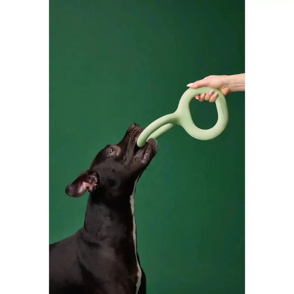 Earth Rated Dog Tug Toy Green Rubber - Talis Us