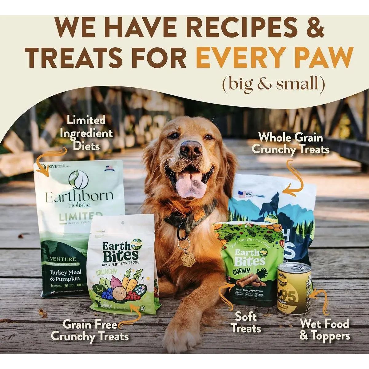 Earthborn Holistic Great Plains Feast Bison Meal & Vegetables Grain - Free Dry Dog Food - Talis Us