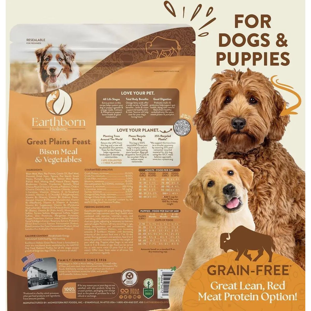 Earthborn Holistic Great Plains Feast Bison Meal & Vegetables Grain - Free Dry Dog Food - Talis Us