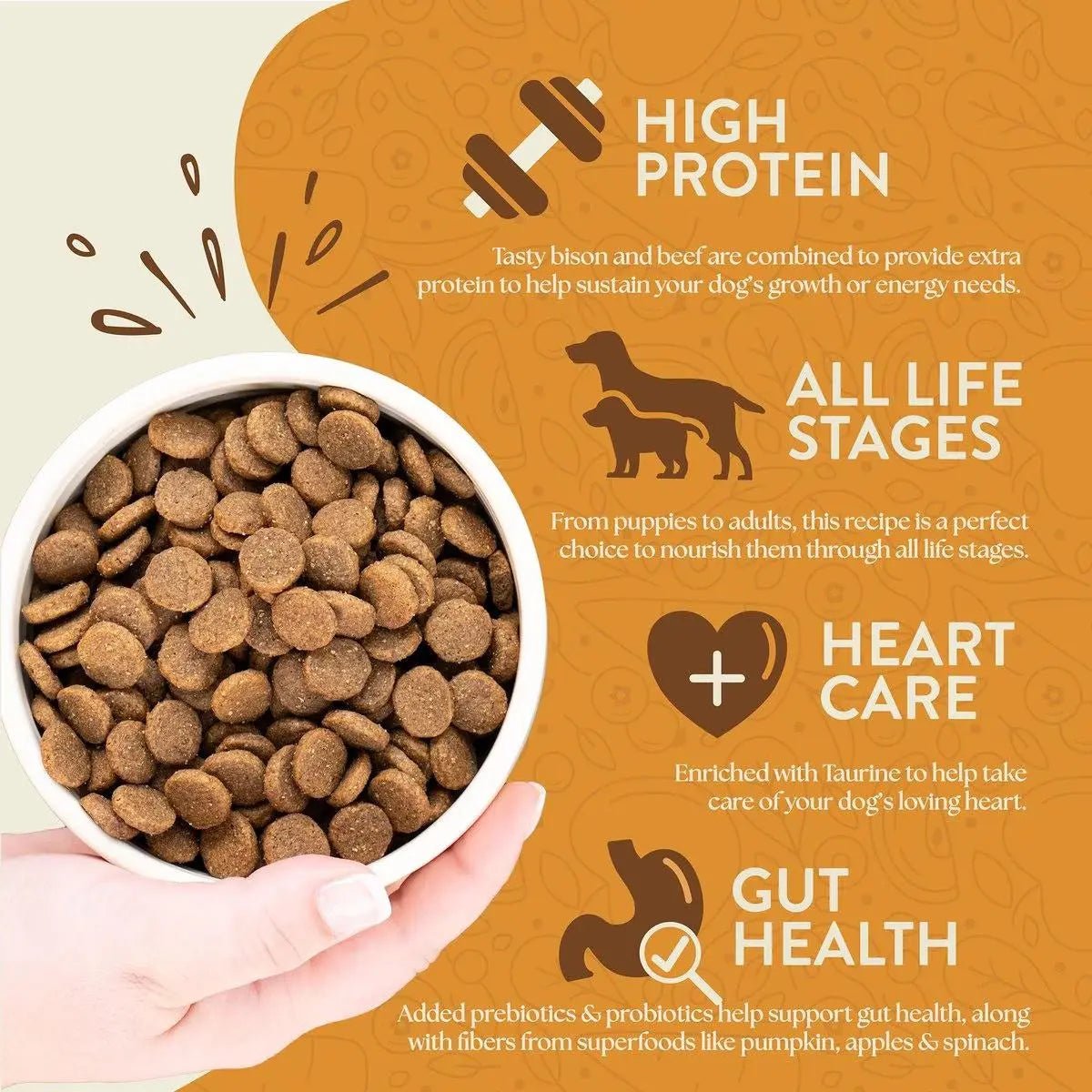 Earthborn Holistic Great Plains Feast Bison Meal & Vegetables Grain - Free Dry Dog Food - Talis Us