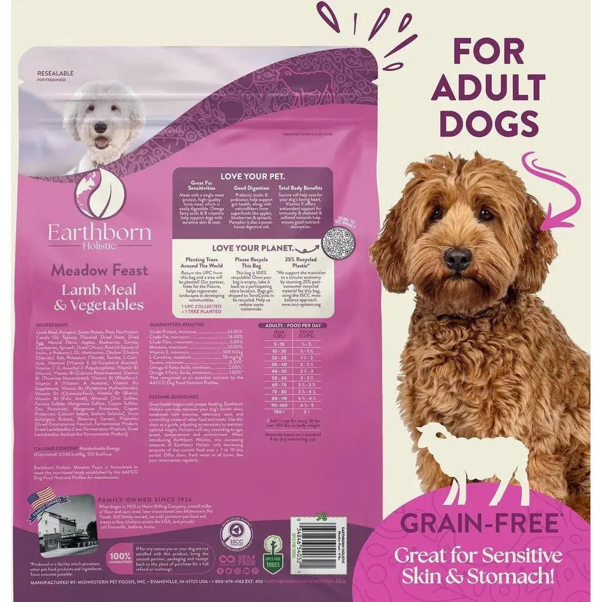 Earthborn Holistic Meadow Feast Lamb Meal & Vegetables Grain - Free Dry Dog Food - Talis Us