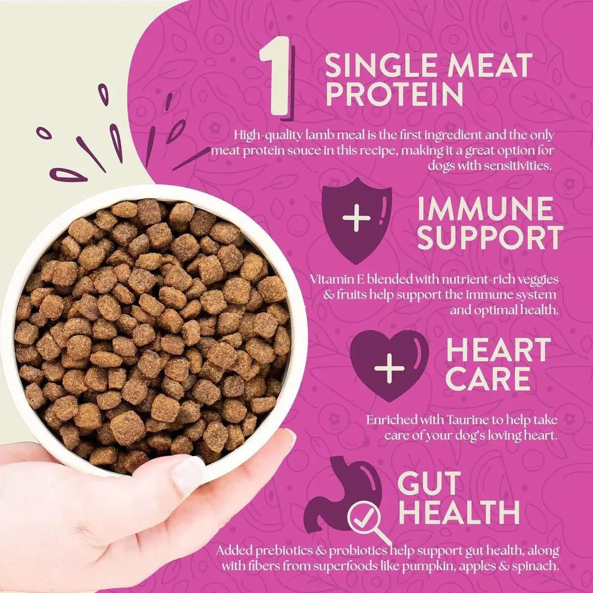 Earthborn Holistic Meadow Feast Lamb Meal & Vegetables Grain - Free Dry Dog Food - Talis Us