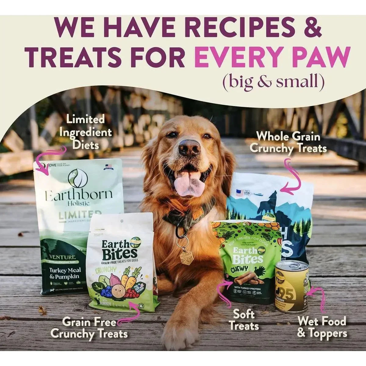 Earthborn Holistic Meadow Feast Lamb Meal & Vegetables Grain - Free Dry Dog Food - Talis Us
