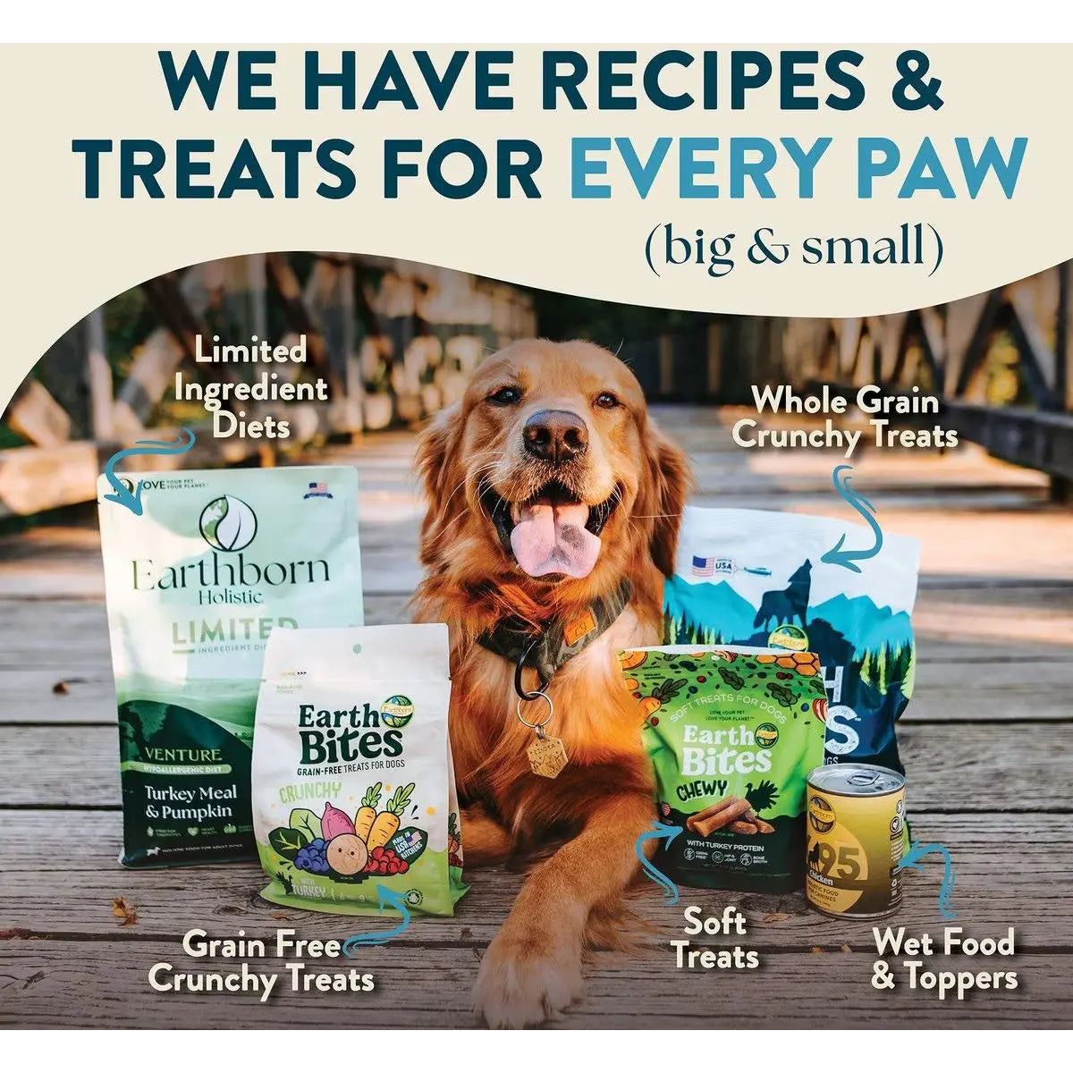 Earthborn Holistic Venture Limited Ingredient Alaska Pollock Meal & Pumpkin Grain - Free Dry Dog Food - Talis Us