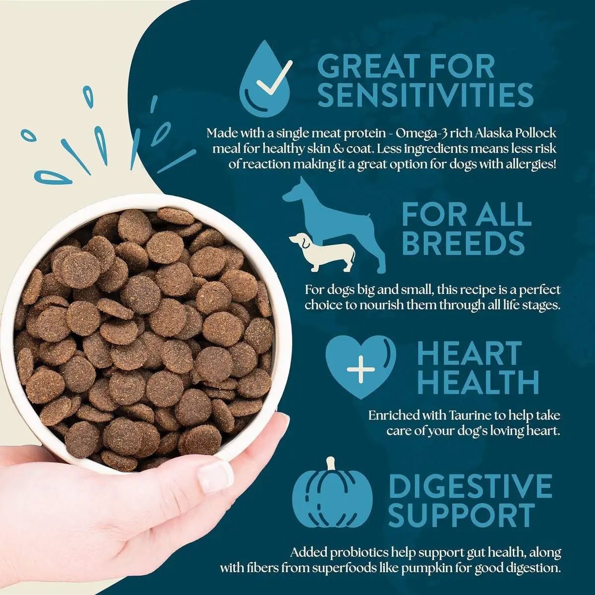 Earthborn Holistic Venture Limited Ingredient Alaska Pollock Meal & Pumpkin Grain - Free Dry Dog Food - Talis Us
