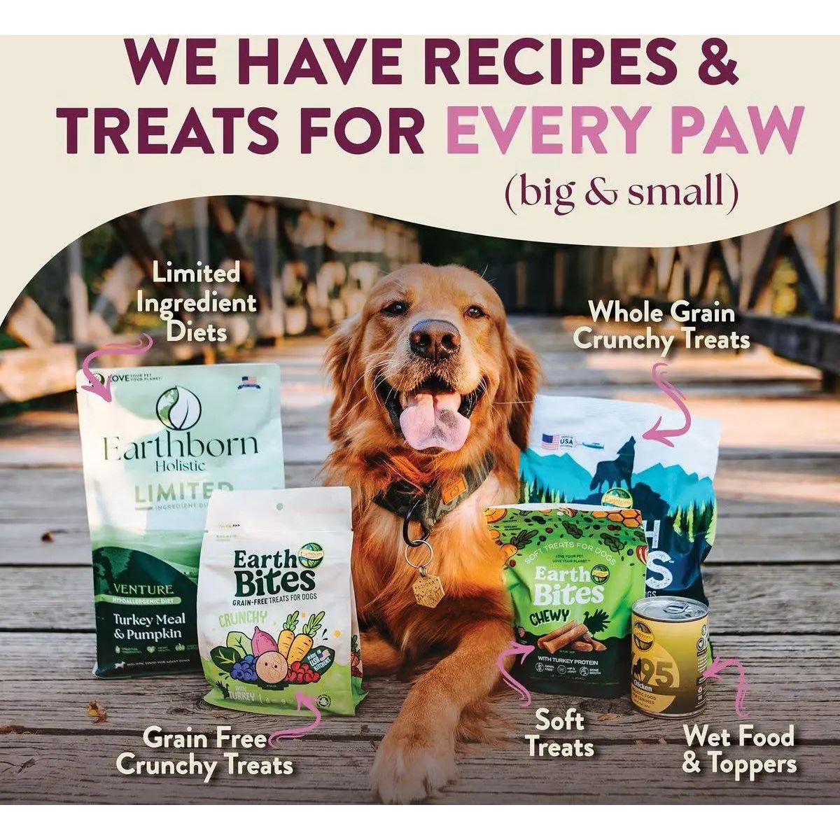 Earthborn Holistic Venture Limited Ingredient Grain - Free Rabbit Meal & Pumpkin Dry Dog Food - Talis Us