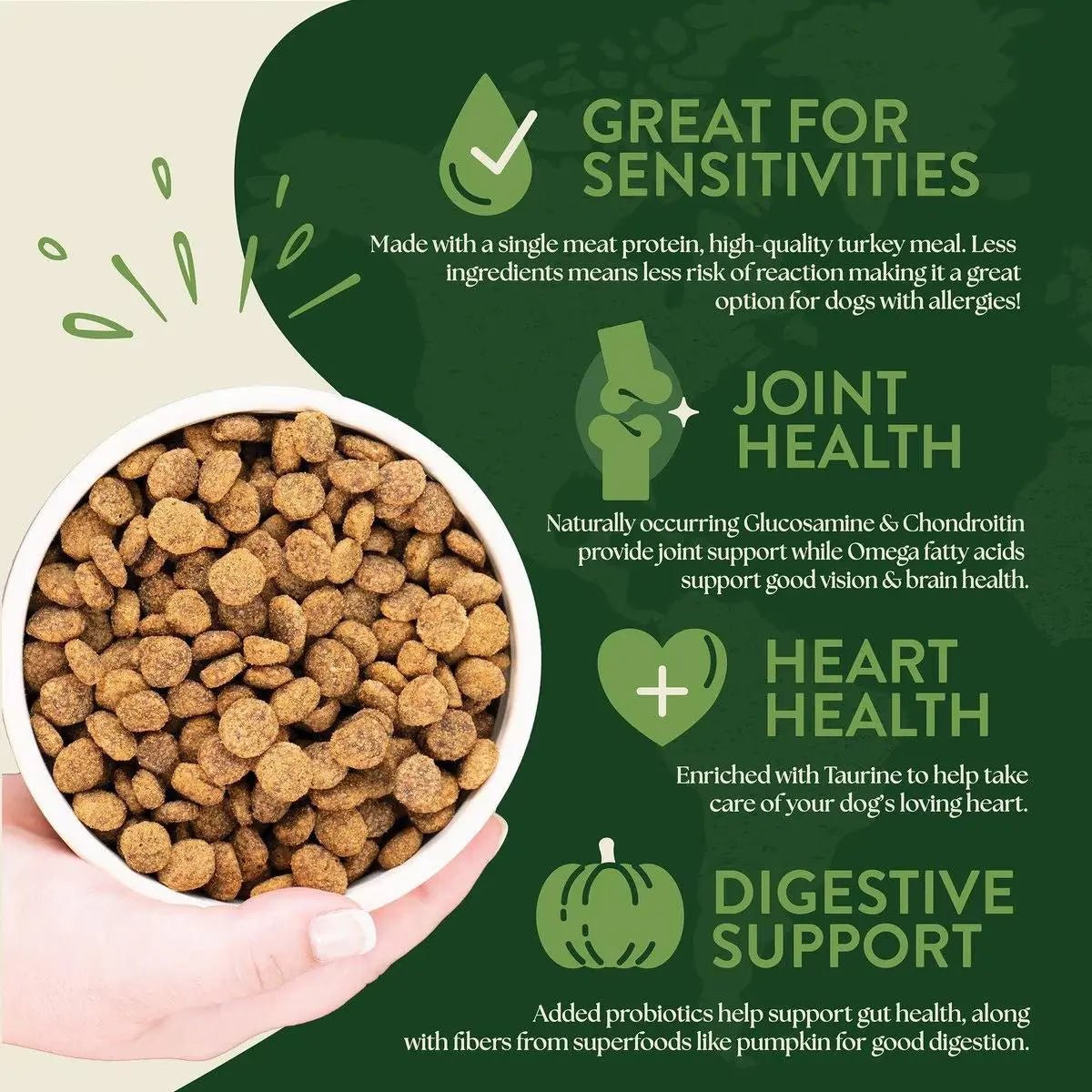 Earthborn Holistic Venture Limited Ingredient Turkey Meal & Pumpkin Grain - Free Dry Dog Food - Talis Us