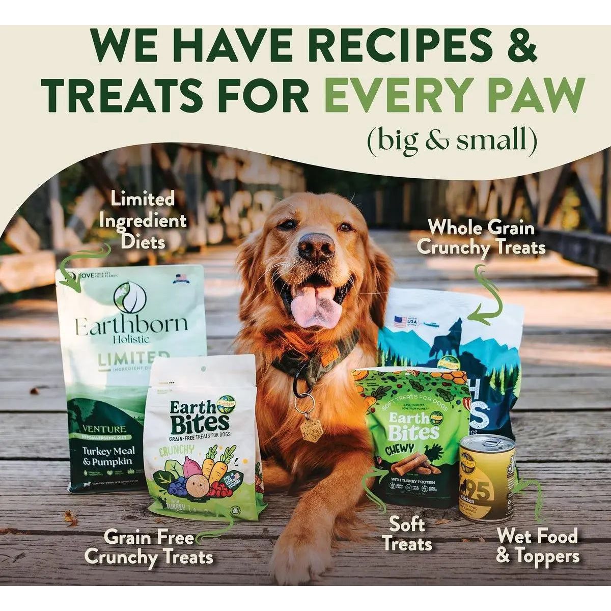 Earthborn Holistic Venture Limited Ingredient Turkey Meal & Pumpkin Grain - Free Dry Dog Food - Talis Us
