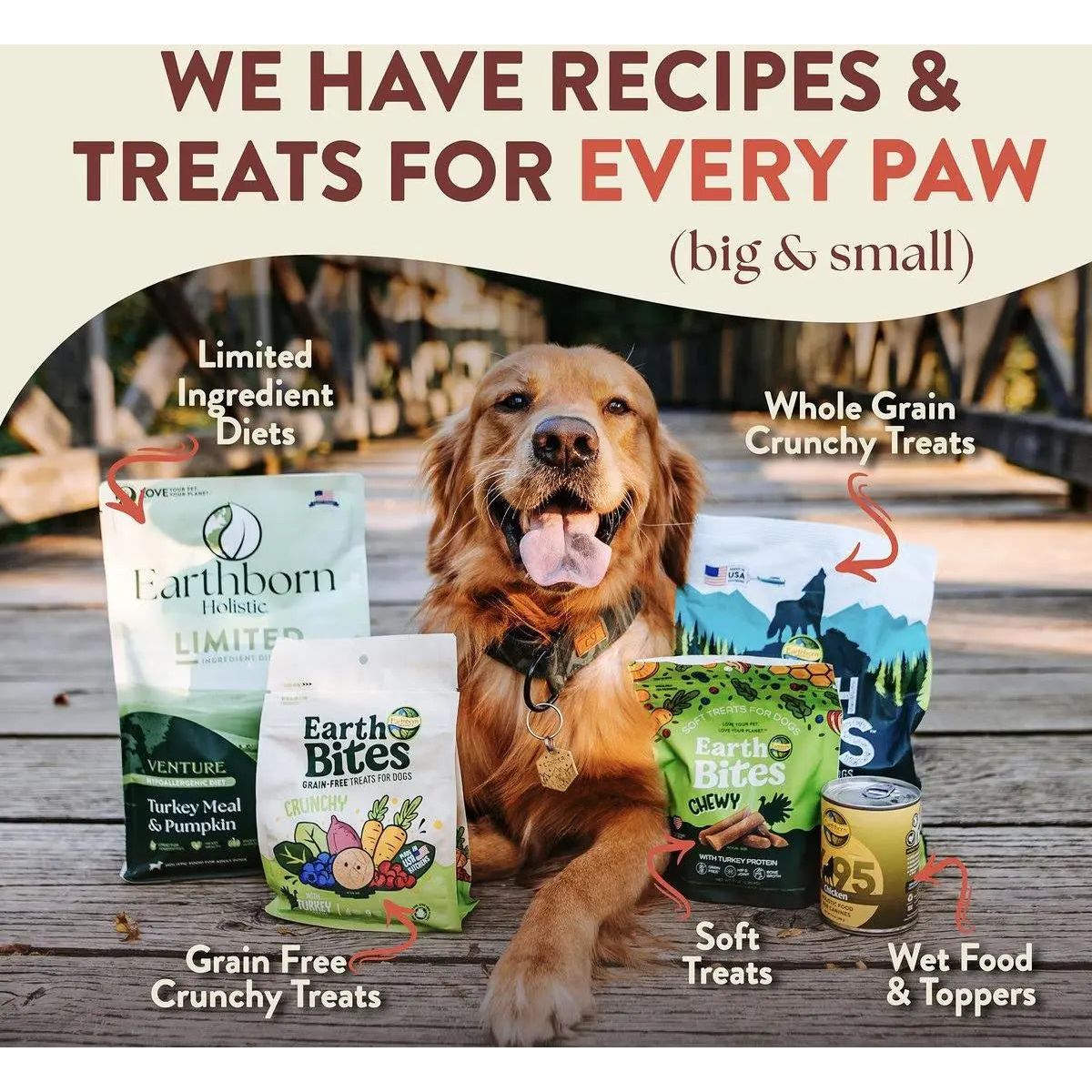Earthborn Holistic Weight Control Chicken Meal & Vegetables Grain - Free Dry Dog Food - Talis Us