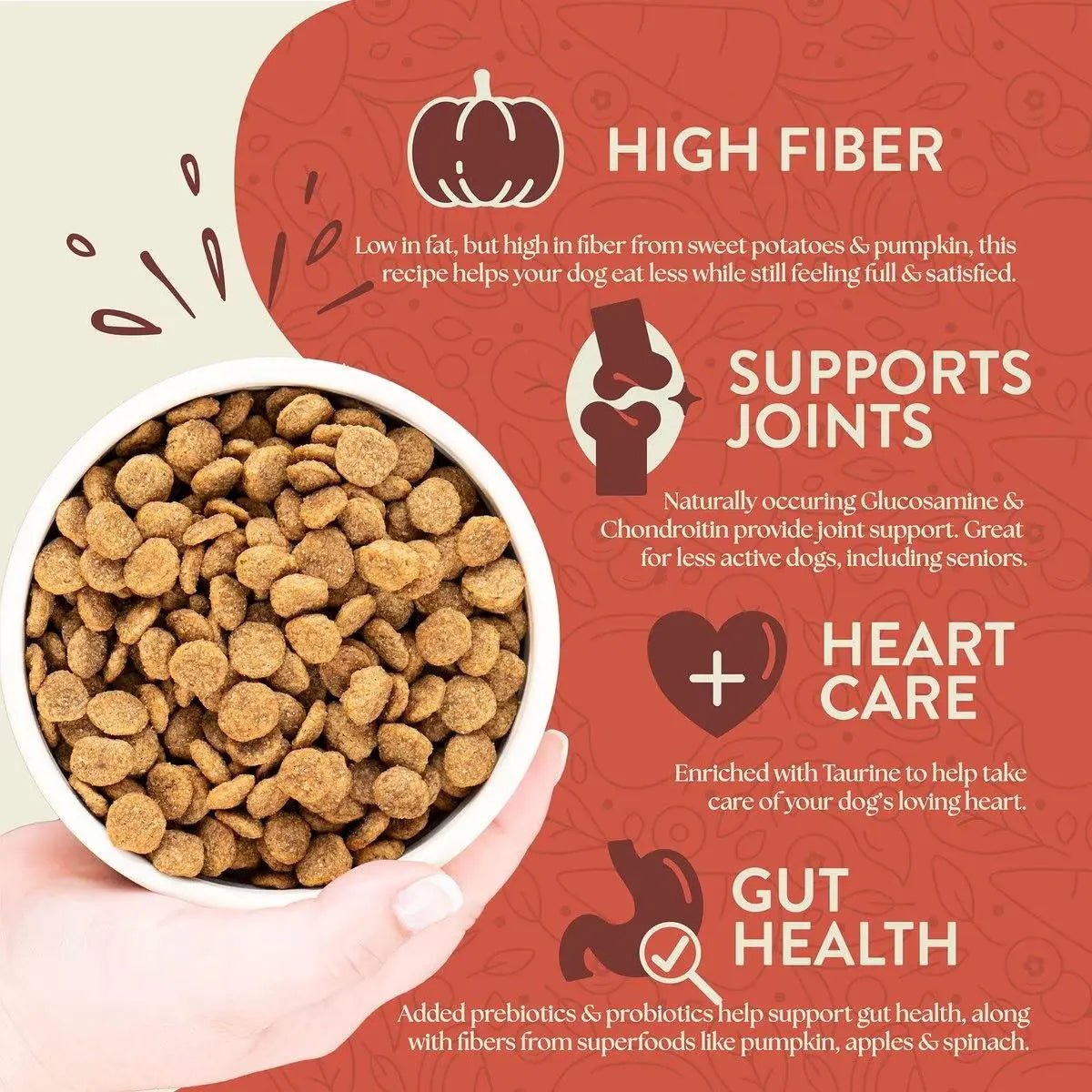 Earthborn Holistic Weight Control Chicken Meal & Vegetables Grain - Free Dry Dog Food - Talis Us