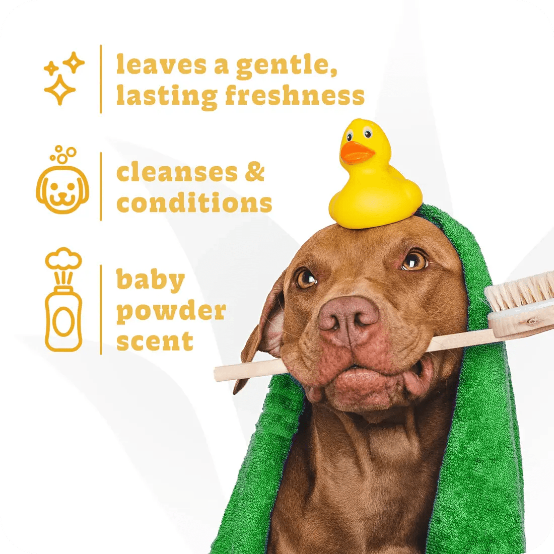 Espree 2in1 Gently Fresh Puppy Shampoo 20 oz - Talis Us