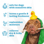 Espree 2in1 Simple Shed Dog Shampoo 20 oz - Talis Us