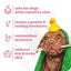 Espree 2in1 Simple Sooth Dog Shampoo - Talis Us