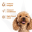 Espree 2in1 Wavy Curly Coat Dog Shampoo 20 oz - Talis Us