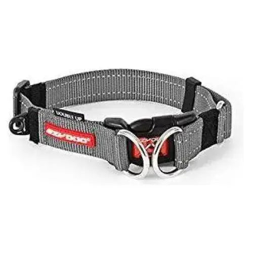 EzyDog Double Up Premium Nylon Dog Collar with Reflective Stitching - Talis Us
