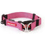 EzyDog Double Up Premium Nylon Dog Collar with Reflective Stitching - Talis Us