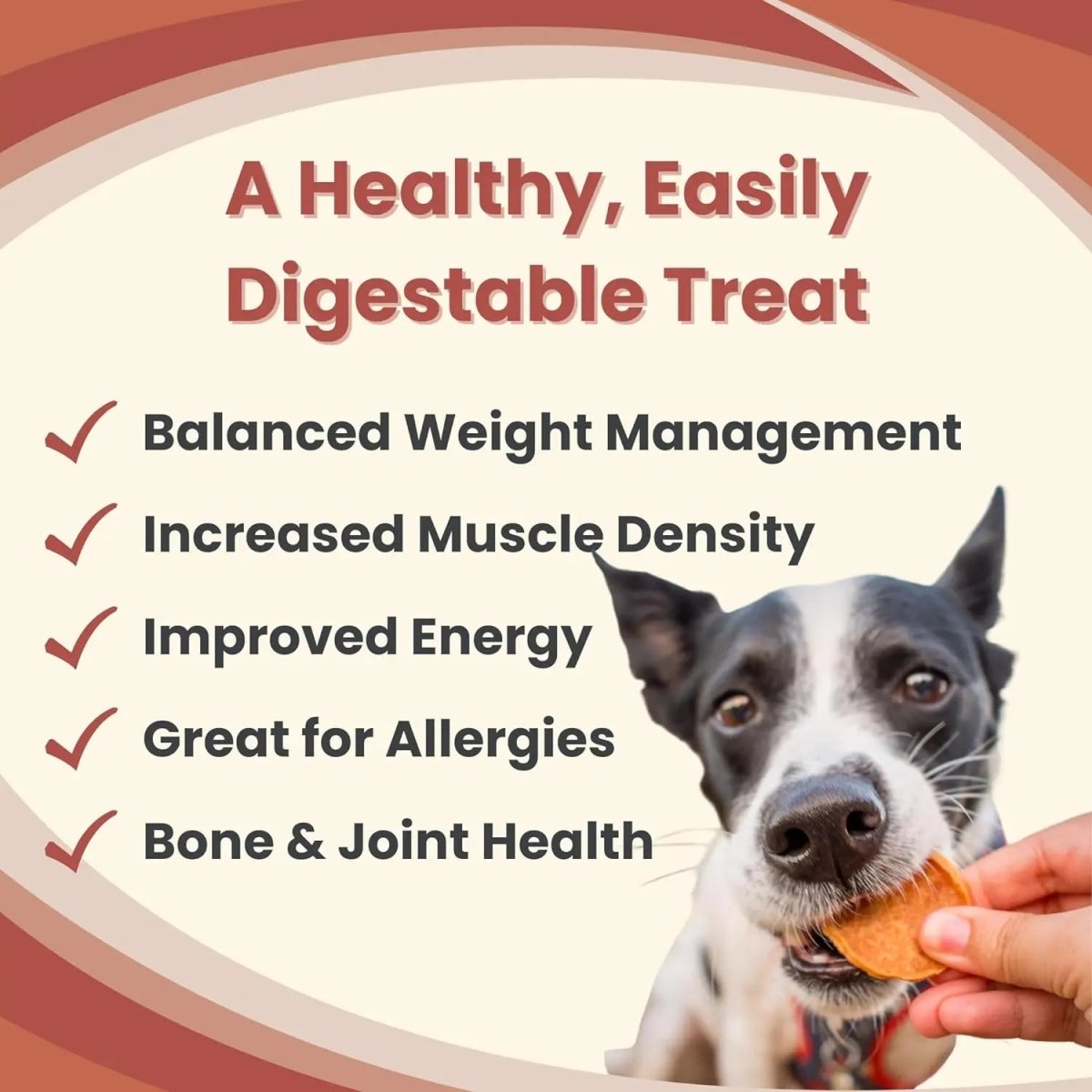 Farm To Pet Chicken Chips Single Ingredient Healthy Dog Treats - Talis Us