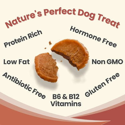 Farm To Pet Chicken Chips Single Ingredient Healthy Dog Treats - Talis Us