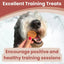 Farm To Pet Turkey Chips Single Ingredient Healthy Dog Treats - Talis Us