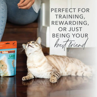 Feline Natural Beef Healthy Bites Grain - Free Freeze - Dried Cat Treats 1.76oz - Talis Us