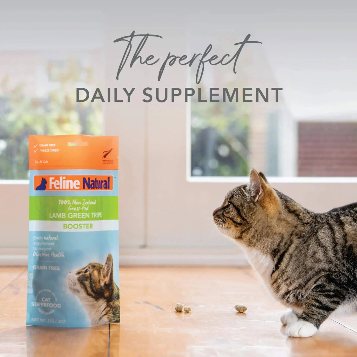 Feline Natural Cat Freeze Dried Food Booster Lamb Tripe 2oz - Talis Us