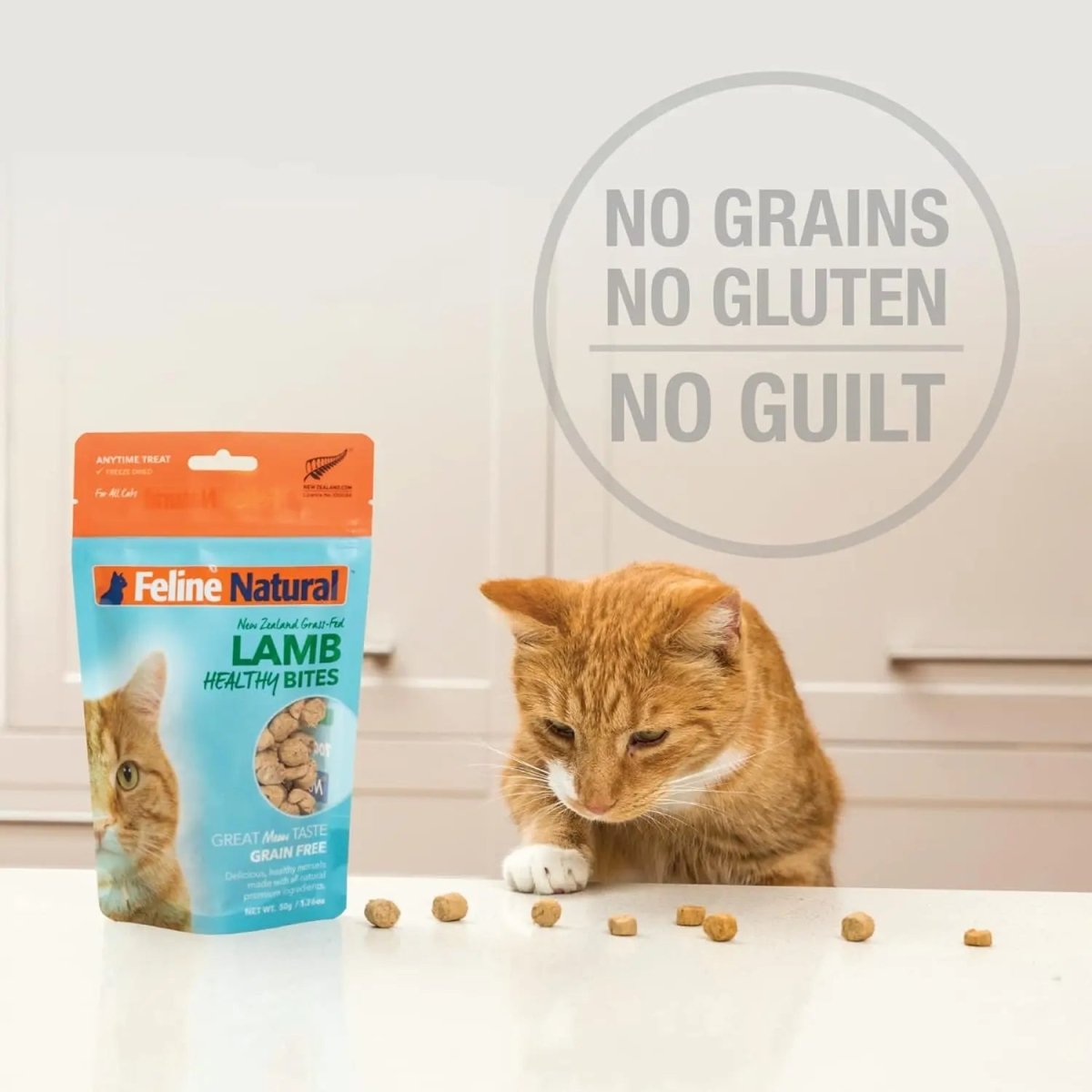Feline Natural Lamb Healthy Bites Grain - Free Freeze - Dried Cat Treats 1.76oz - Talis Us