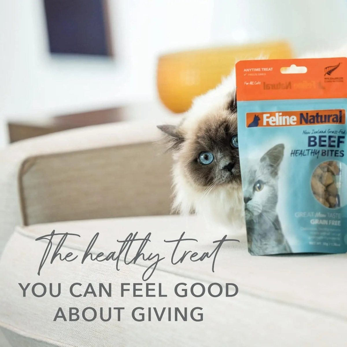 Feline Natural Lamb Healthy Bites Grain - Free Freeze - Dried Cat Treats 1.76oz - Talis Us
