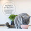 Feline Natural New Zealand Chicken & Lamb Feast Grain - Free Freeze - Dried Cat Food - Talis Us