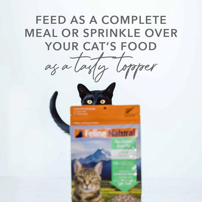 Feline Natural New Zealand Chicken & Lamb Feast Grain - Free Freeze - Dried Cat Food - Talis Us