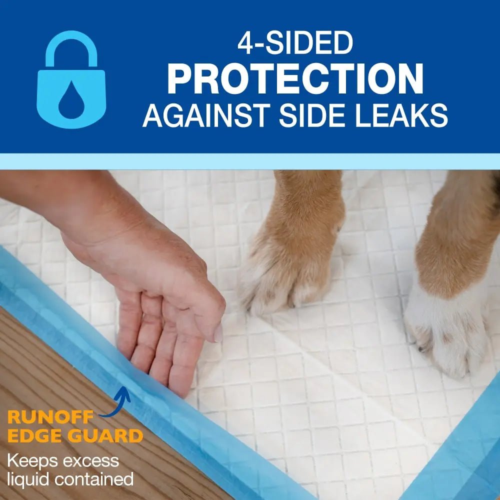 Four Paws Wee - Wee Superior Performance Gigantic Dog Pee Pads with Runoff Edge Guard 28 in X 34 in (40 ct) - Talis Us