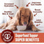 Furvor Beef Bone Broth Healthy Dog Food Topper - Talis Us