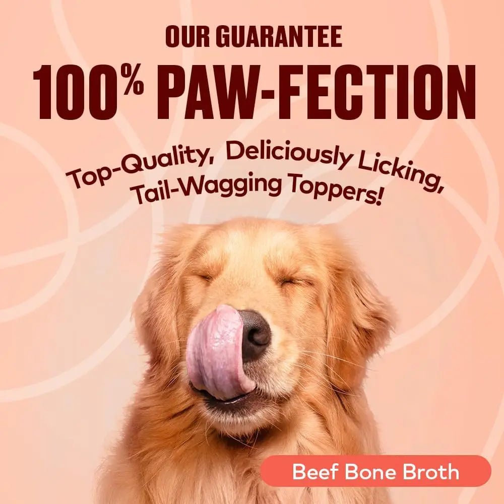 Furvor Beef Bone Broth Healthy Dog Food Topper - Talis Us